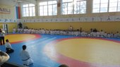 мастер класс по Айкидо Ёсинкан